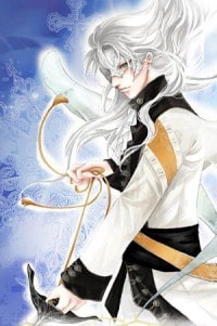 众神之界之光辉岁月