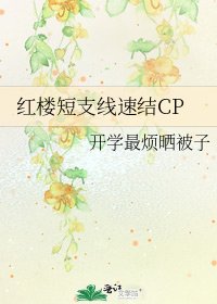 紅樓短支線速結CP